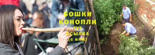метадон Вяземский