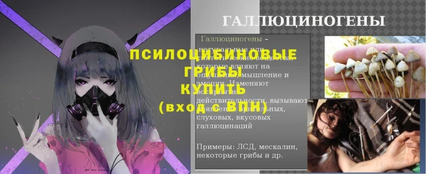 mdpv Володарск