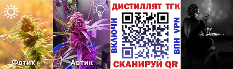 Дистиллят ТГК Wax Евпатория