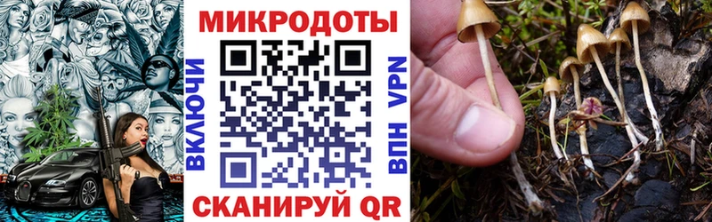 Псилоцибиновые грибы Magic Shrooms  ОМГ ОМГ зеркало  Евпатория 